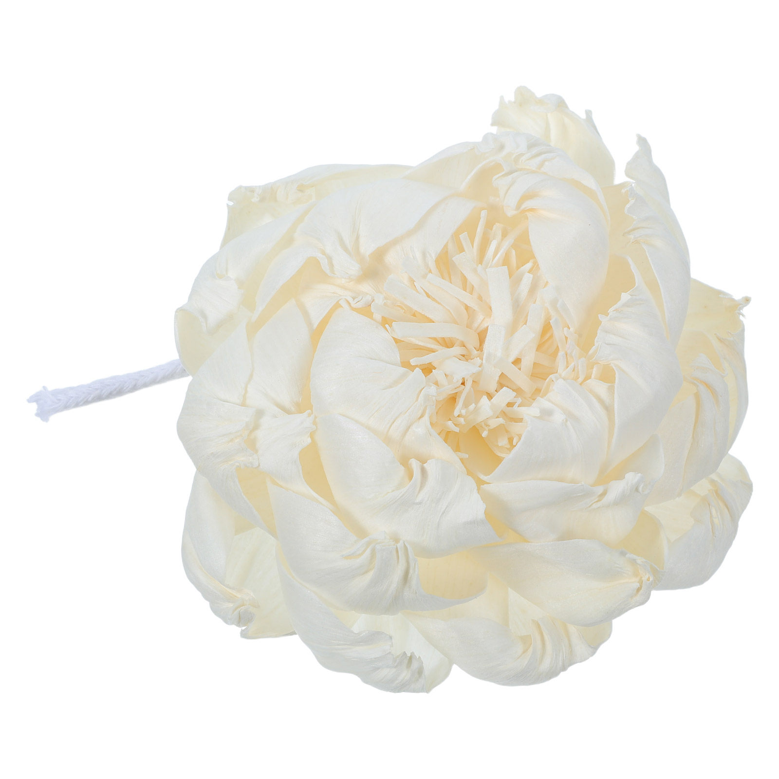 Peony Head Fragrance Diffuser  - огляд і ціна Home Fragrance Usa